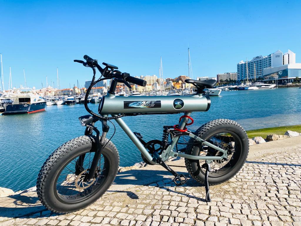 E-bike 2024 motore Bafang 1000 watt